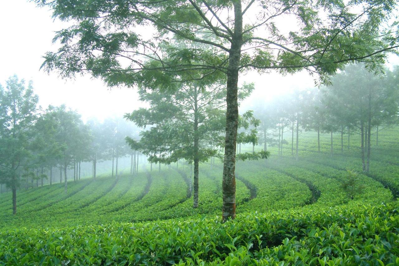 Mistica Munnar Anachal Exterior foto