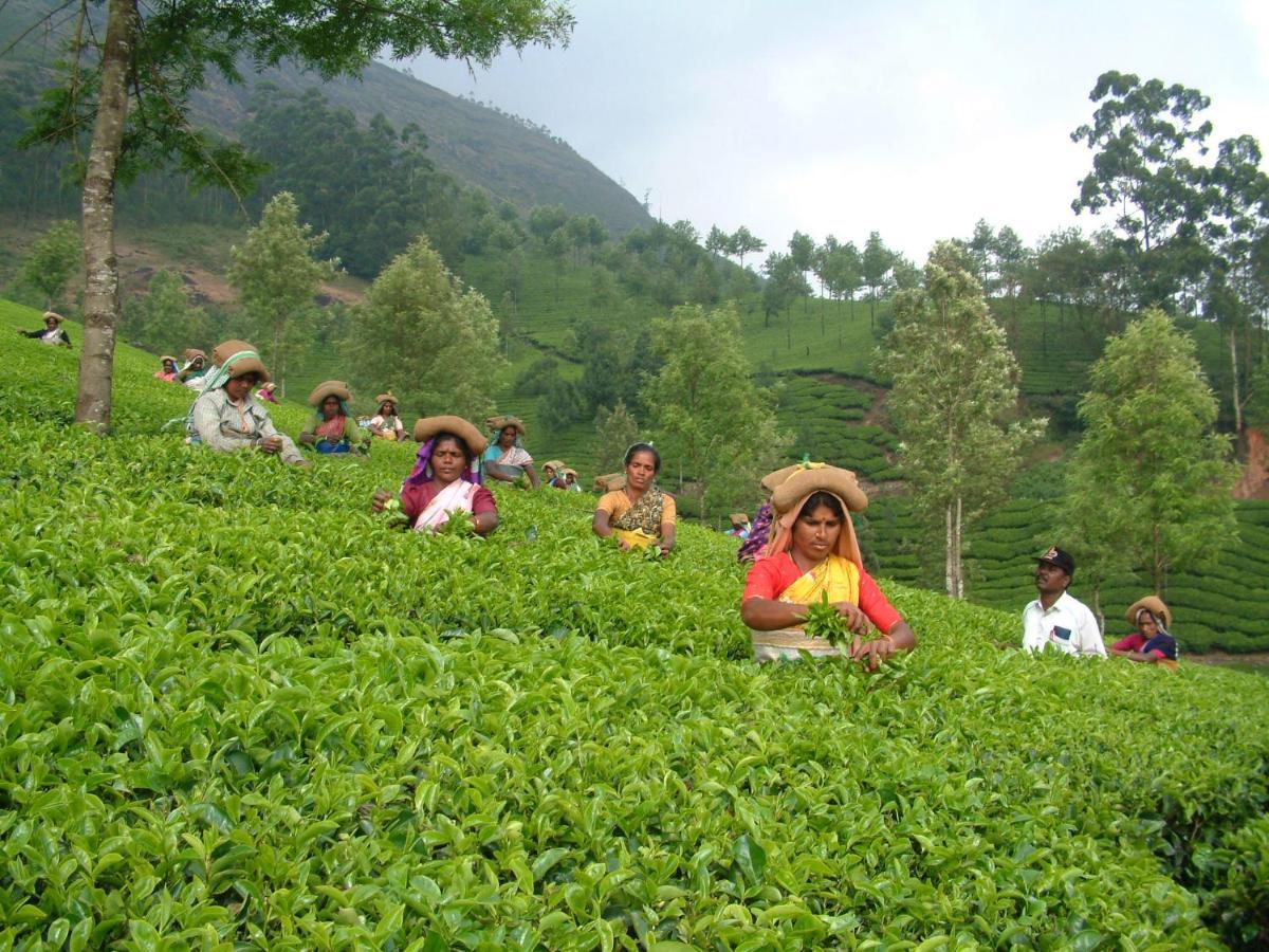 Mistica Munnar Anachal Exterior foto