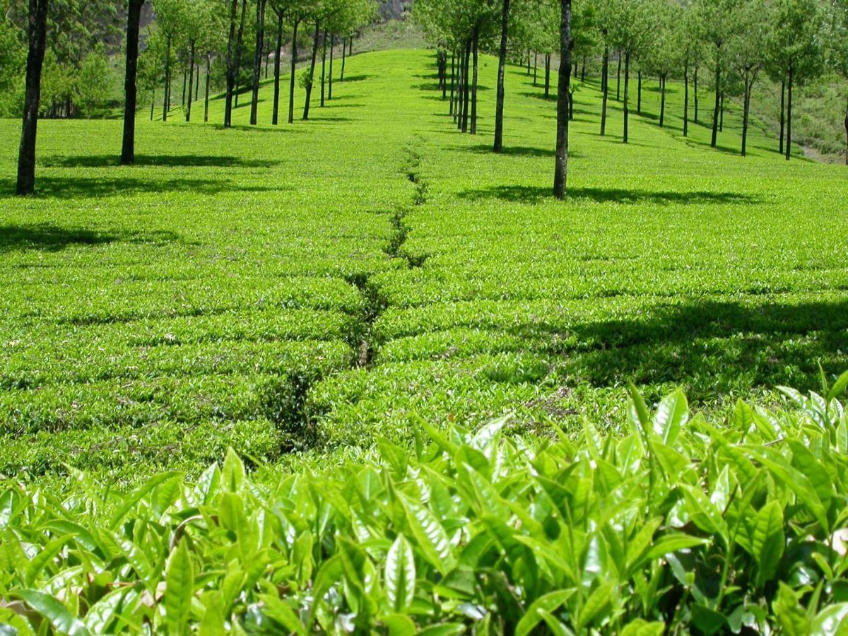 Mistica Munnar Anachal Exterior foto