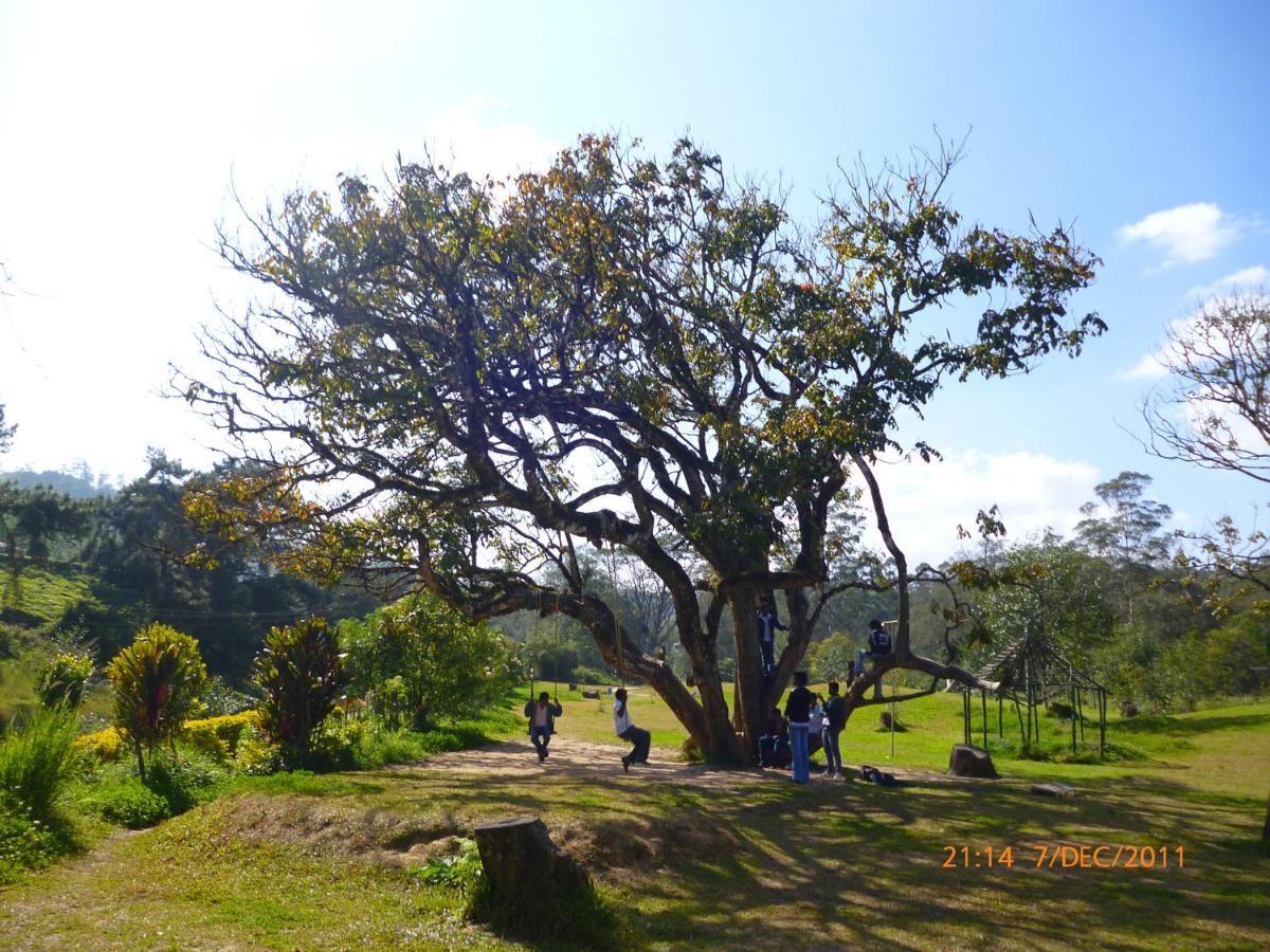 Mistica Munnar Anachal Exterior foto