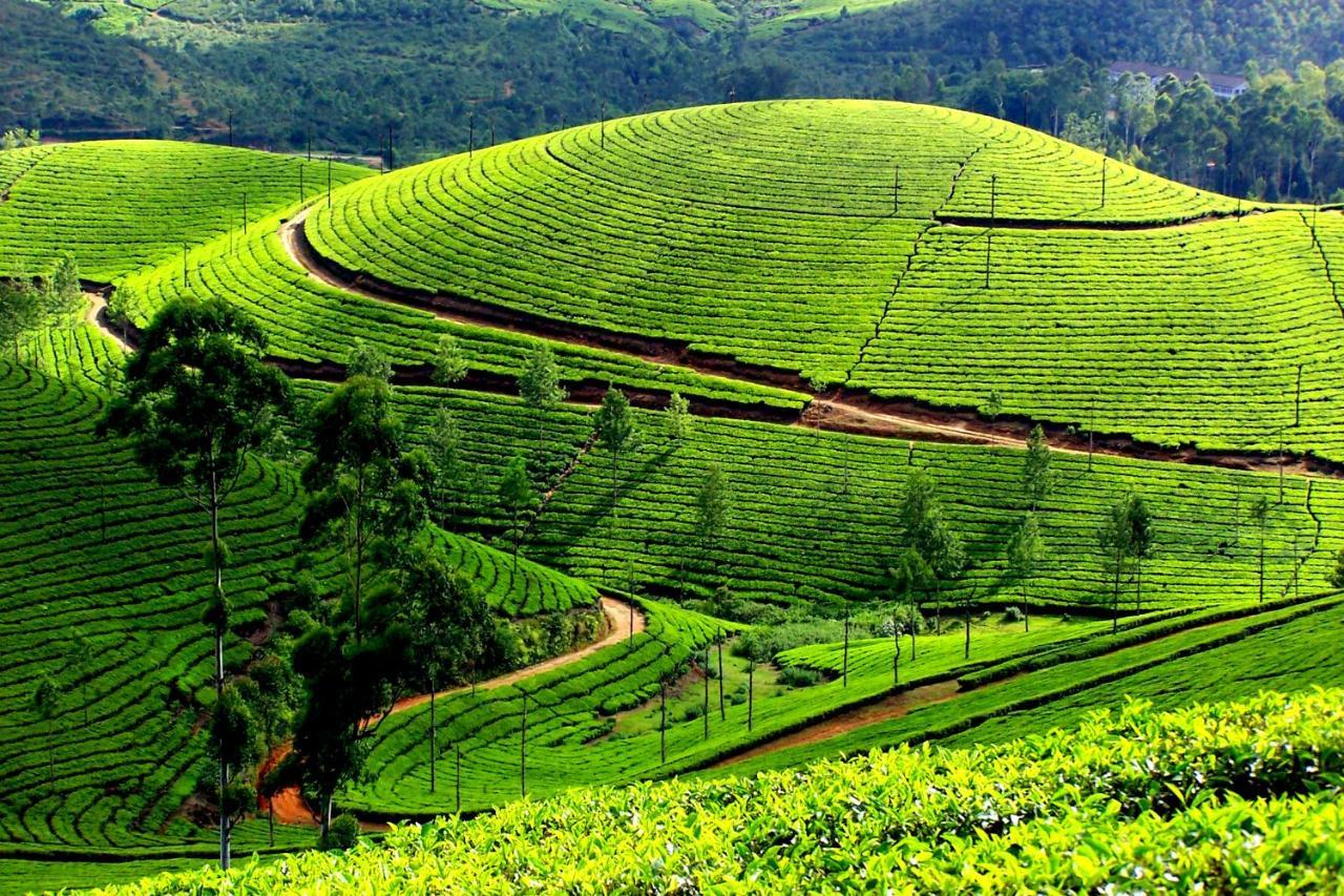 Mistica Munnar Anachal Exterior foto