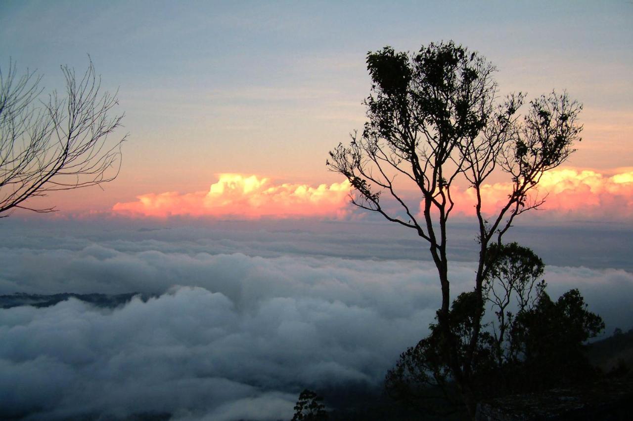 Mistica Munnar Anachal Exterior foto