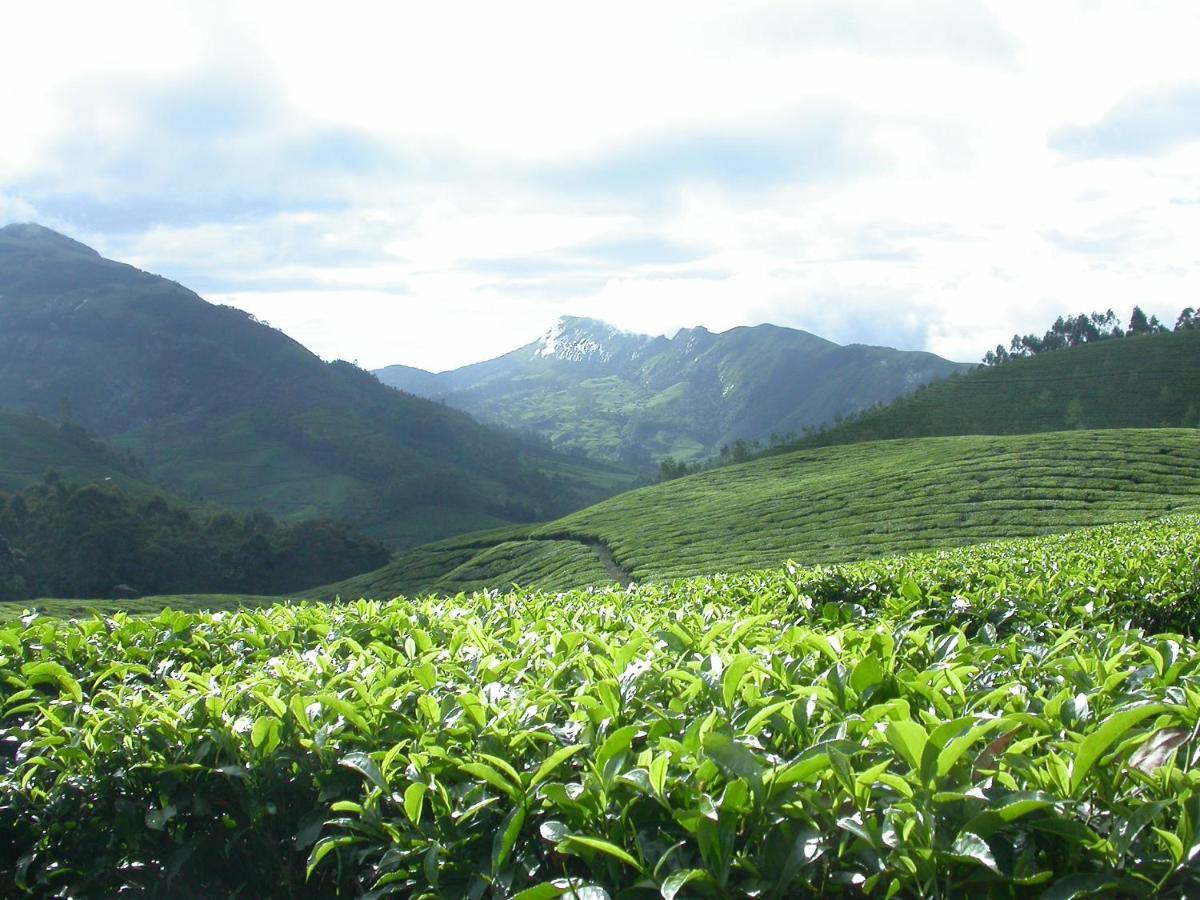 Mistica Munnar Anachal Exterior foto