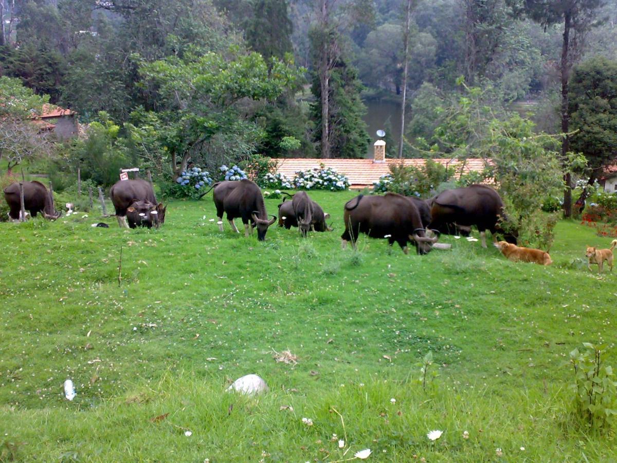 Mistica Munnar Anachal Exterior foto