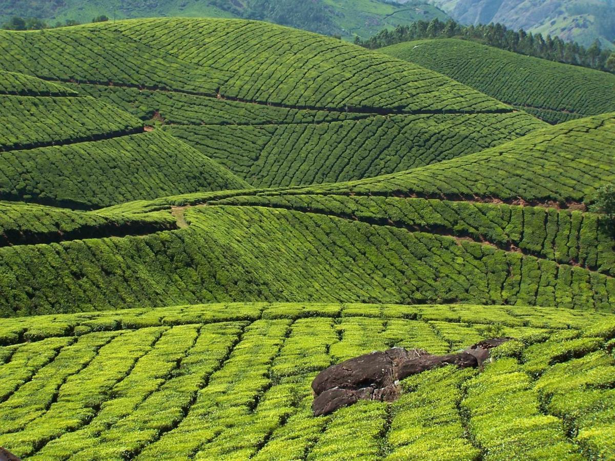 Mistica Munnar Anachal Exterior foto