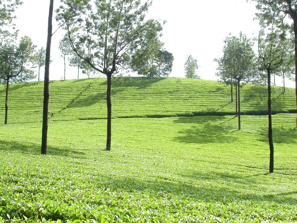 Mistica Munnar Anachal Exterior foto