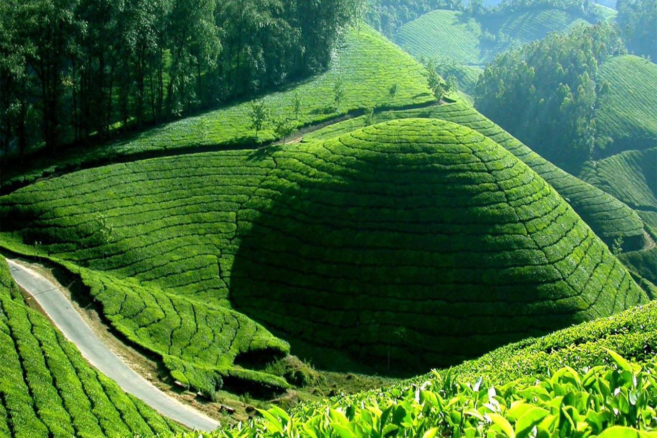 Mistica Munnar Anachal Exterior foto