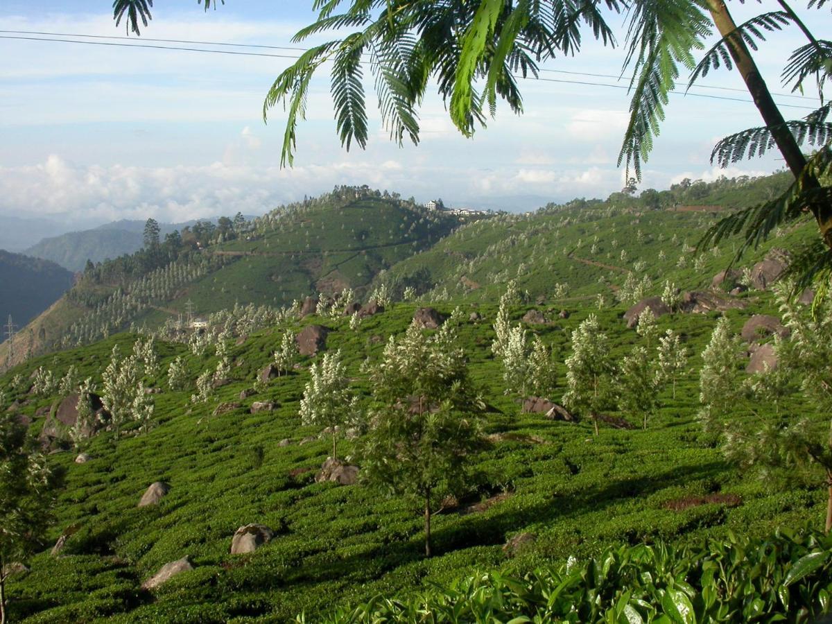 Mistica Munnar Anachal Exterior foto
