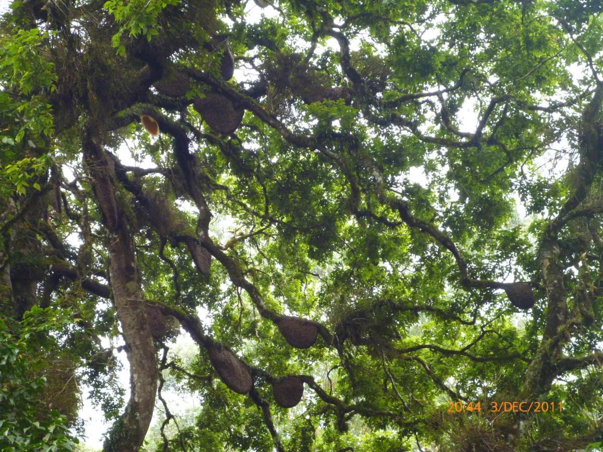 Mistica Munnar Anachal Exterior foto