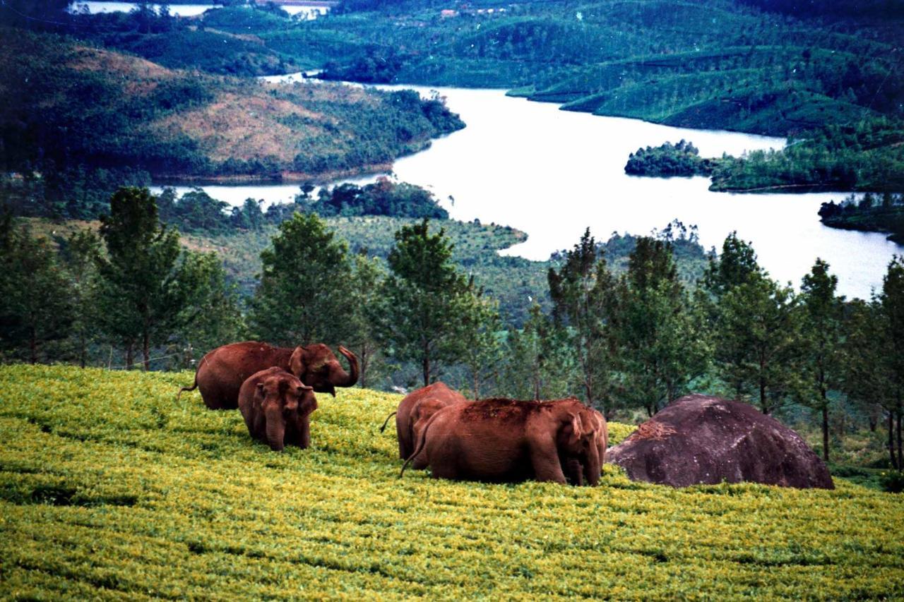 Mistica Munnar Anachal Exterior foto