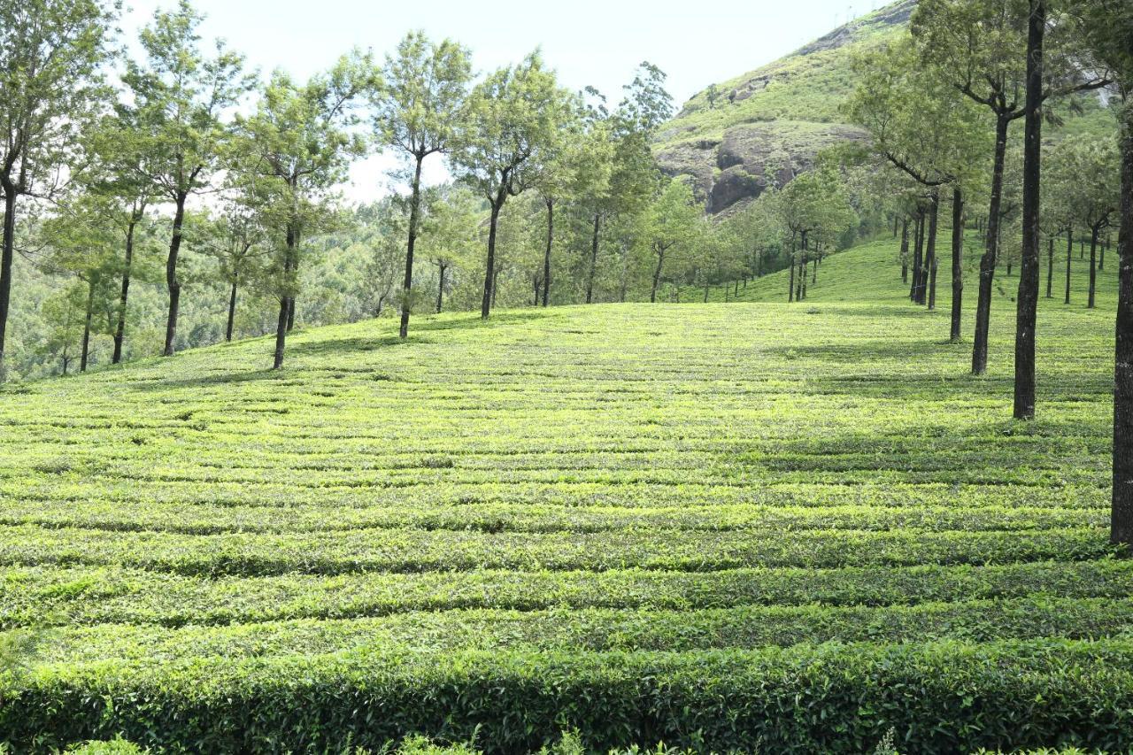 Mistica Munnar Anachal Exterior foto