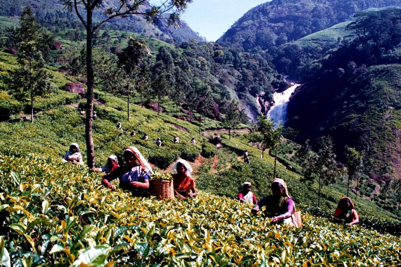 Mistica Munnar Anachal Exterior foto